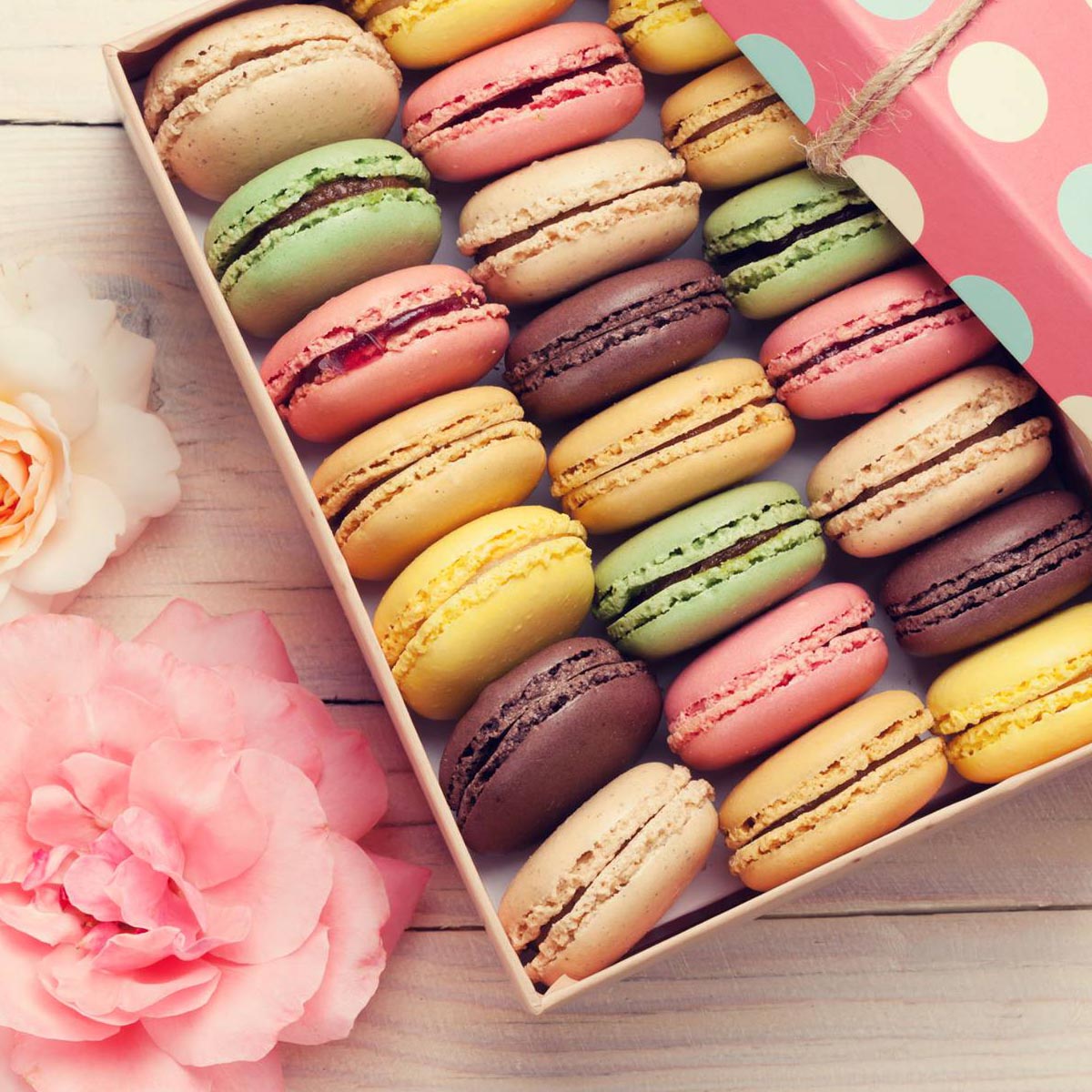 Macarons, Confetteria, Allestimenti, <br>idee regalo